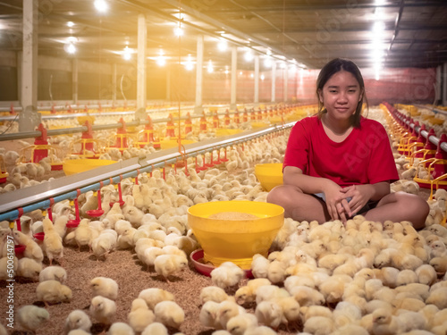 Fotografie, Obraz Chicken and girl in the chicken farm