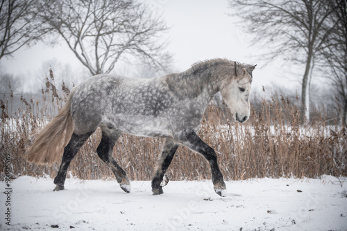 Connemara im Schnee