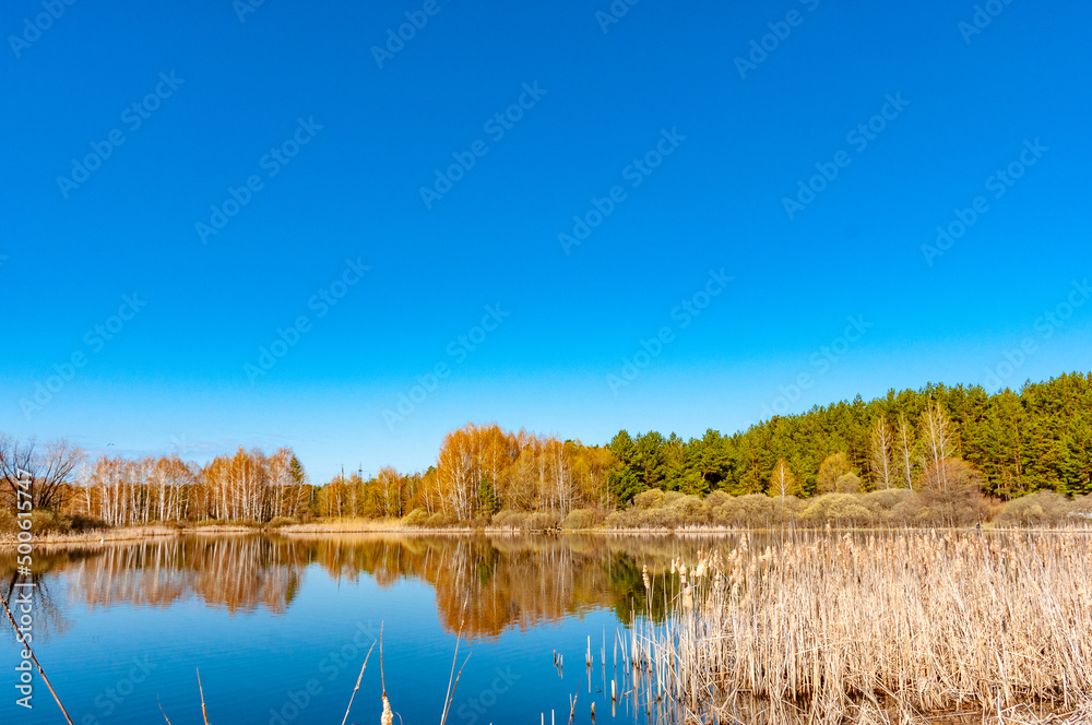 A forest lake on a spring morning in Samarskaya Luka National Park!