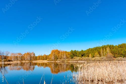 A forest lake on a spring morning in Samarskaya Luka National Park!