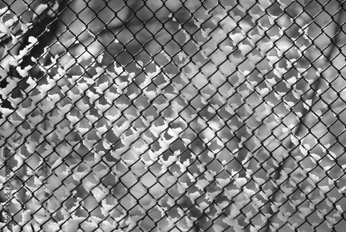 gray background, pictured, metal mesh on a gray background in winter