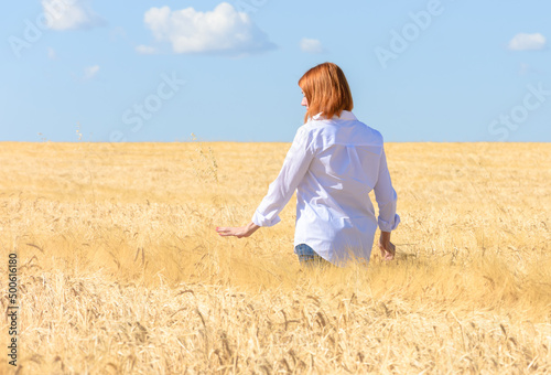 A young woman in a white shirt walks through a wheat field. Wheat field  woman walking.