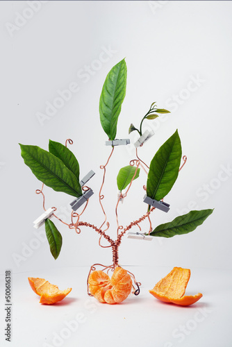 copper wire tree decorated with peeled tangerines and leaves photo