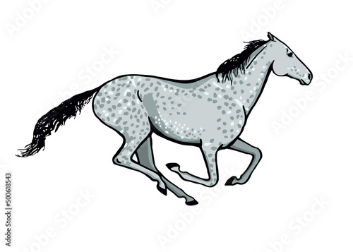 Galloping horse or mustang. Dapple grey color coat pony running. Equine gallop motion. Isolated vector hand drawn cartoon pose.