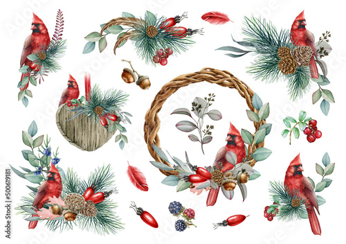 Fototapeta Winter floral rustic set