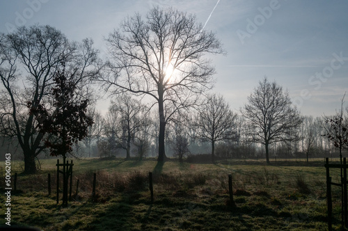 Landscape shot of a tree-lined landscape in east Flanders, belgium