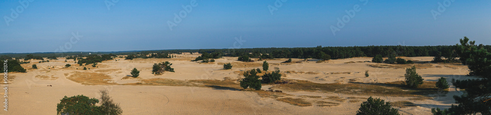 Panoramic view on sandy plain