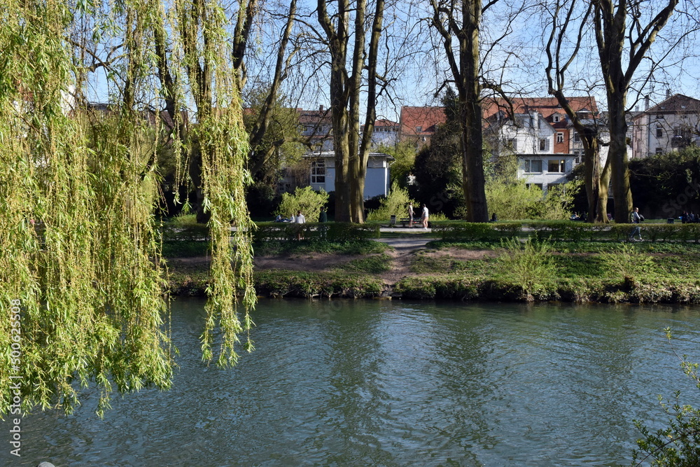 Der Neckar in Tübingen im Frühling