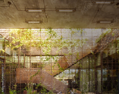 background vintage hipster interior design with green wall vines rustic metal stairs and concrete ceiling