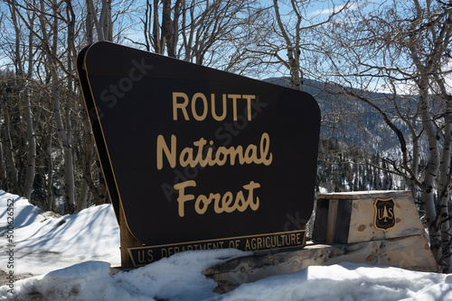 Routt National Forest Sign in Colorado on a Snowy Day photo