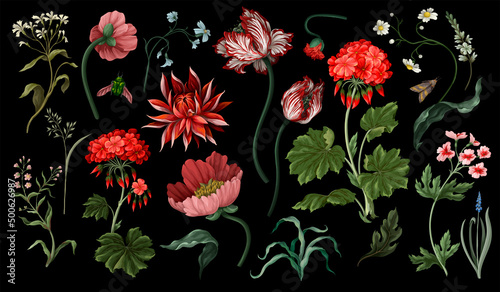 Botanical victorian flowers and bugs isolated. Tulip, peony and other.