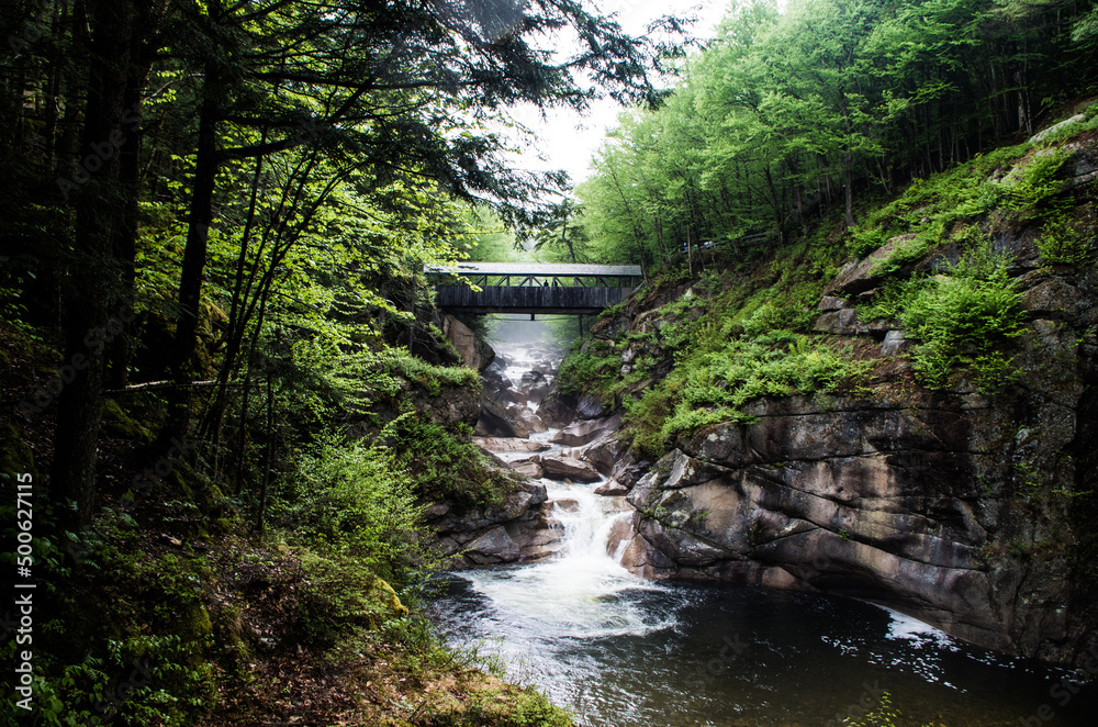 waterfall in the forest