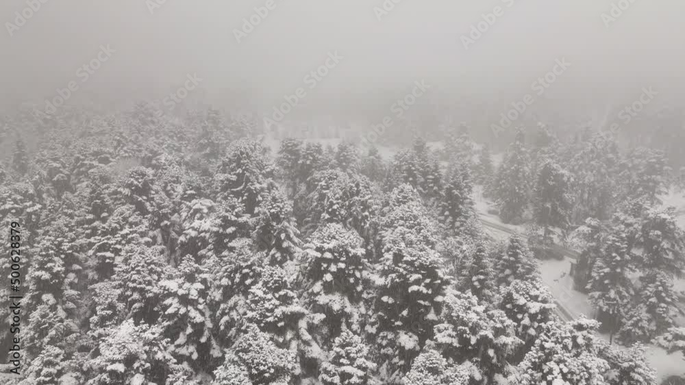 Golcuk National Park in the Winter Season, Bolu Turkey Golcuk National Park in the Winter Season, Bolu Turkey