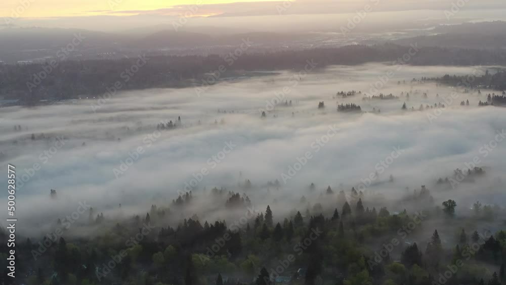 Dawn illuminates a layer of fog that covers the scenic Willamette River not far south of Portland, Oregon. This beautiful part of the Pacific Northwest receives lots of moisture annually. Dawn illuminates a layer of fog that covers the scenic Willamette River not far south of Portland, Oregon. This beautiful part of the Pacific Northwest receives lots of moisture annually.