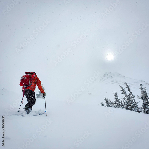 skier in the mountains