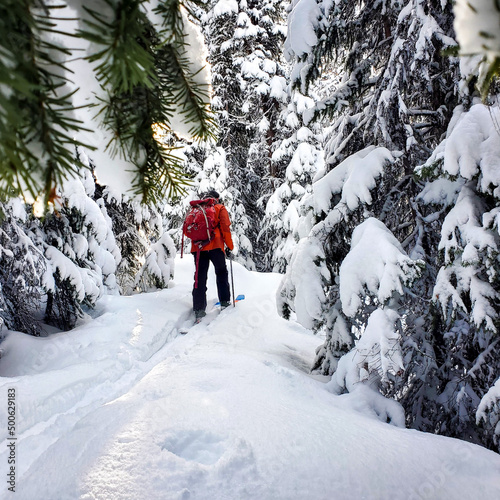 walking in the snow