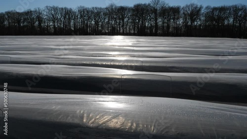 Plastikfolien und Plastikplanen in der Landwirtschaft.
Kultivierung von Spargel im Frühjahr in Deutschland.
Sonnige Reflexe auf der Folie