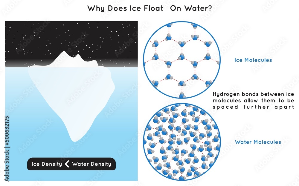 Vetor de Why Does Ice Float on Water Infographic Diagram showing
