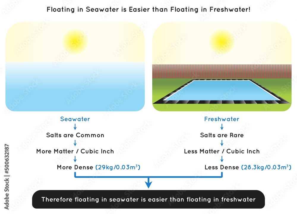 Floating in Seawater is Easier than Floating in Freshwater Infographic