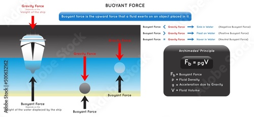 Buoyant Force Infographic Diagram showing how ship float on water while iron mass sink and another object hover and relation with gravity force depending on weight for physics science education vector