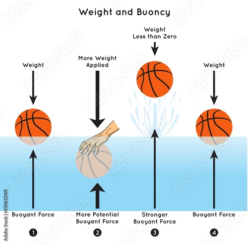 Weight and Buoyancy Infographic Diagram experiment of ball on water surface applying pressure by hand pushing it underwater buoyant force pumping ball upwards physics science education vector