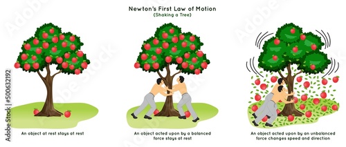 Newton First Law of Motion Infographic Diagram example shaking apple tree at rest and external force act on it balanced and unbalanced leaves apples fall down physics science education poster vector