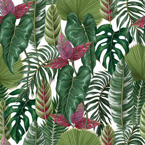 Seamless pattern with tropical leaves such as palm leaf, monstera and other.Vector.