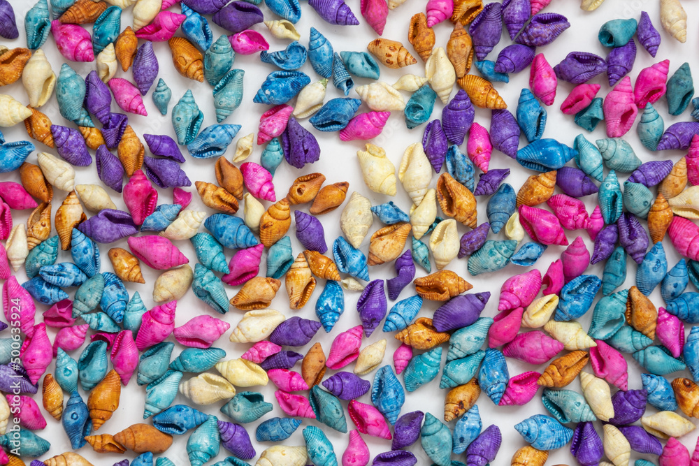 Multicolored seashells, top view. Background and texture. The concept of vacation, travel to the sea Multicolored seashells, top view. Background and texture. The concept of vacation, travel to the sea