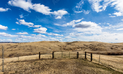 Fence and gate on rolling hills with clouds