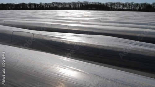 Plastikfolien und Plastikplanen in der Landwirtschaft.
Kultivierung von Spargel im Frühjahr in Deutschland.
Sonnige Reflexe auf der Folie