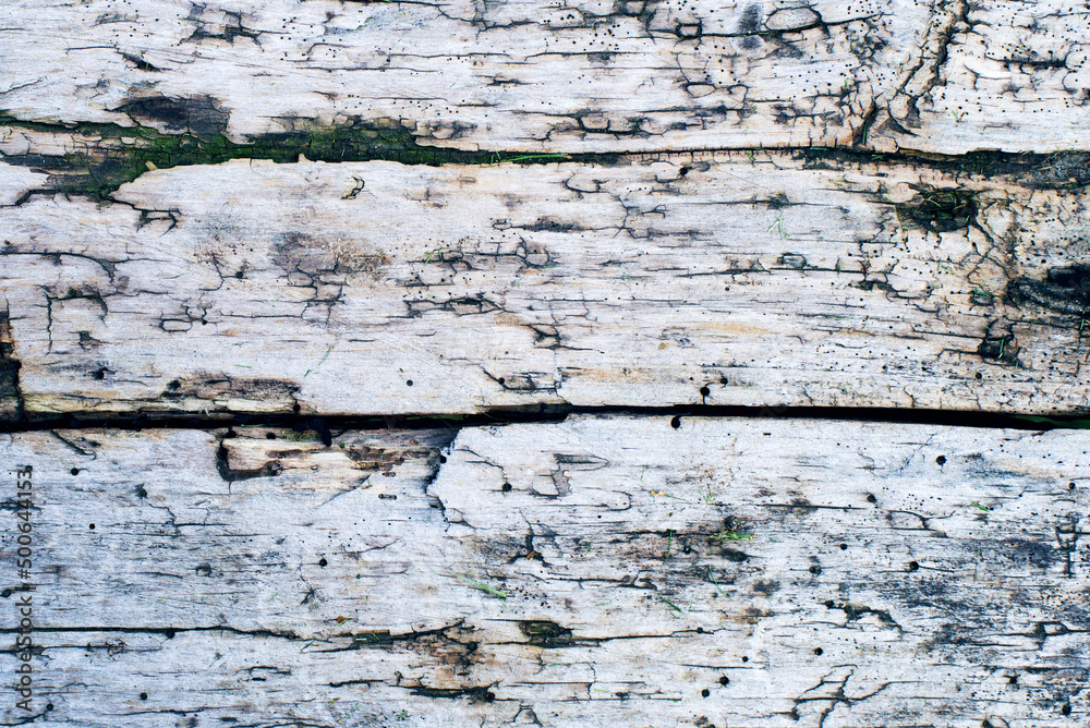 Fototapeta premium Old wooden vintage grunge background with cracks