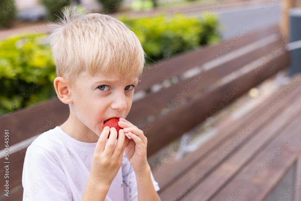 Little blonde boy eating strawberries on a bench. Little blonde boy eating strawberries on a bench.
