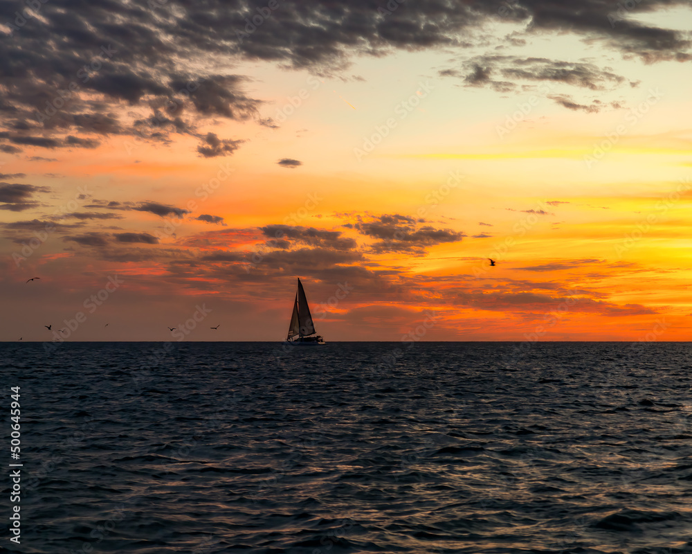 Fototapeta premium Passerby(s)