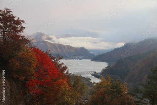 紅葉、朝焼け、草、木、花
