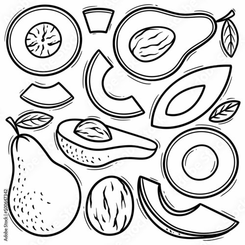 Avocado doodle vector line art