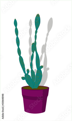 Slim potted cactus