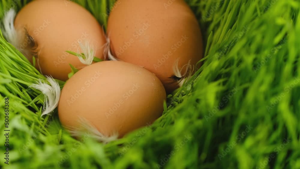 Chicken egg, rotation shot, Chicken fresh raw eggs.Healthy fresh food ingredients for breakfast. Animal products. Grocery. Chicken farm fresh eggs Chicken egg, rotation shot, Chicken fresh raw eggs.Healthy fresh food ingredients for breakfast. Animal products. Grocery. Chicken farm fresh eggs