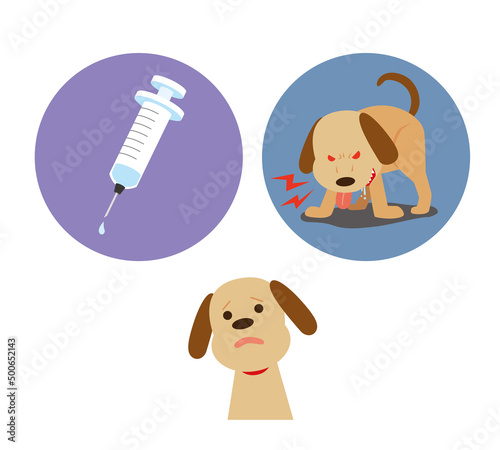 狂犬病予防接種のイメージ