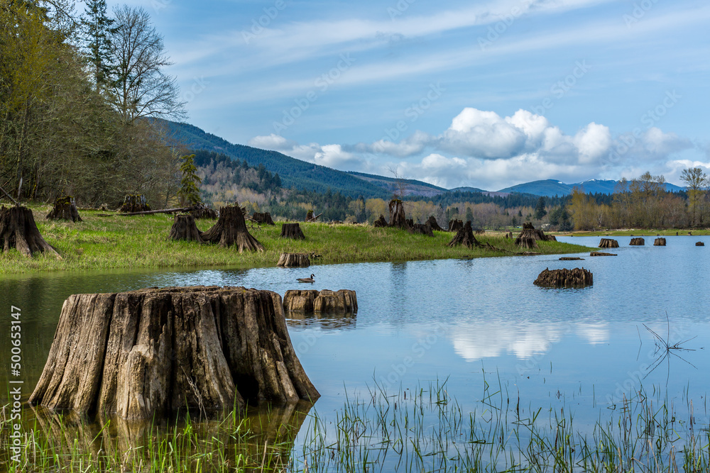 Obraz premium lake in the mountains