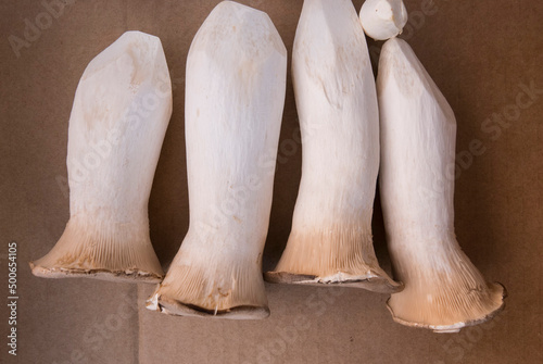long mushrooms close up