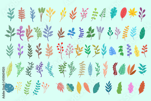 Set Mega Collection Bundle of Pack of Flat Leaf Leaves element Plant Tropical Botanical Doodle Clipart illustration