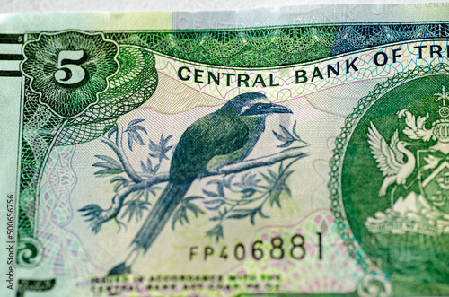 Blue-crowned Motmot (Momotus momota) pn Trinidad and Tobago banknote photo