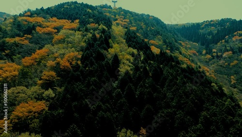 ロープウェイからの下り風景素材