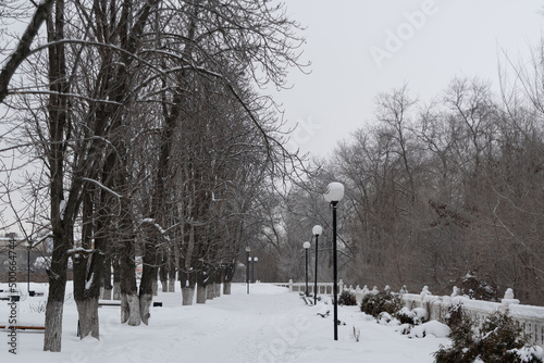 A snow-covered park, with chestnuts and lanterns. A city park covered with white snow, with steel lanterns and chestnut trees.
