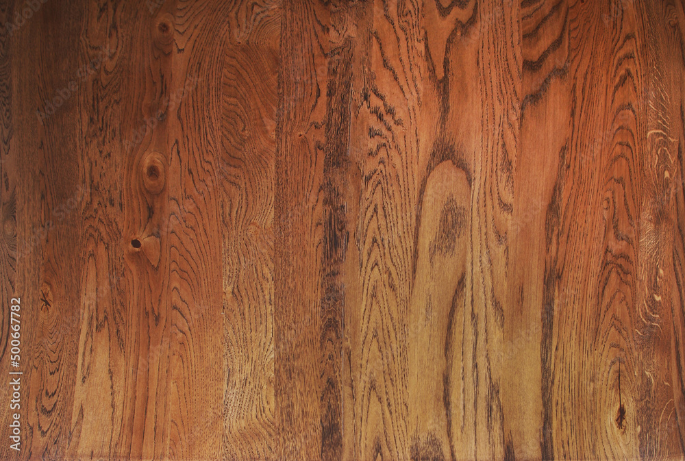 Fototapeta premium Wood texture. Bog oak. Backgrounds and textures.