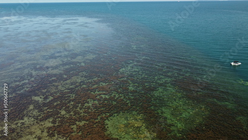 Fototapeta Naklejka Na Ścianę i Meble -  Great Barrier Reef FNQ QLD 