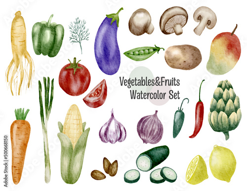 Watercolor painted collection of set of fresh vegetable and fruit watercolor painting vector isolated on white background