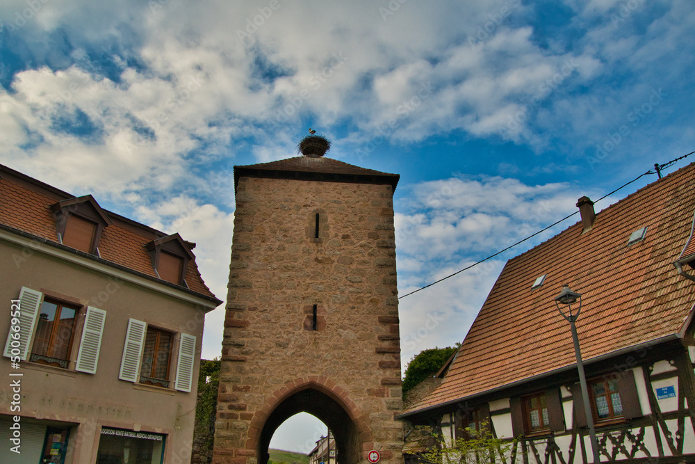 Storchennest in Dambach la Ville im Elsass
