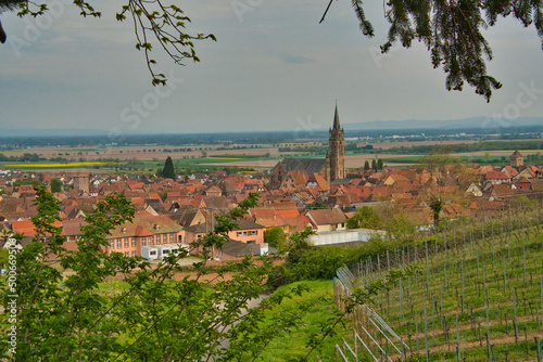 Blick auf Dambach la Ville im Elsass photo