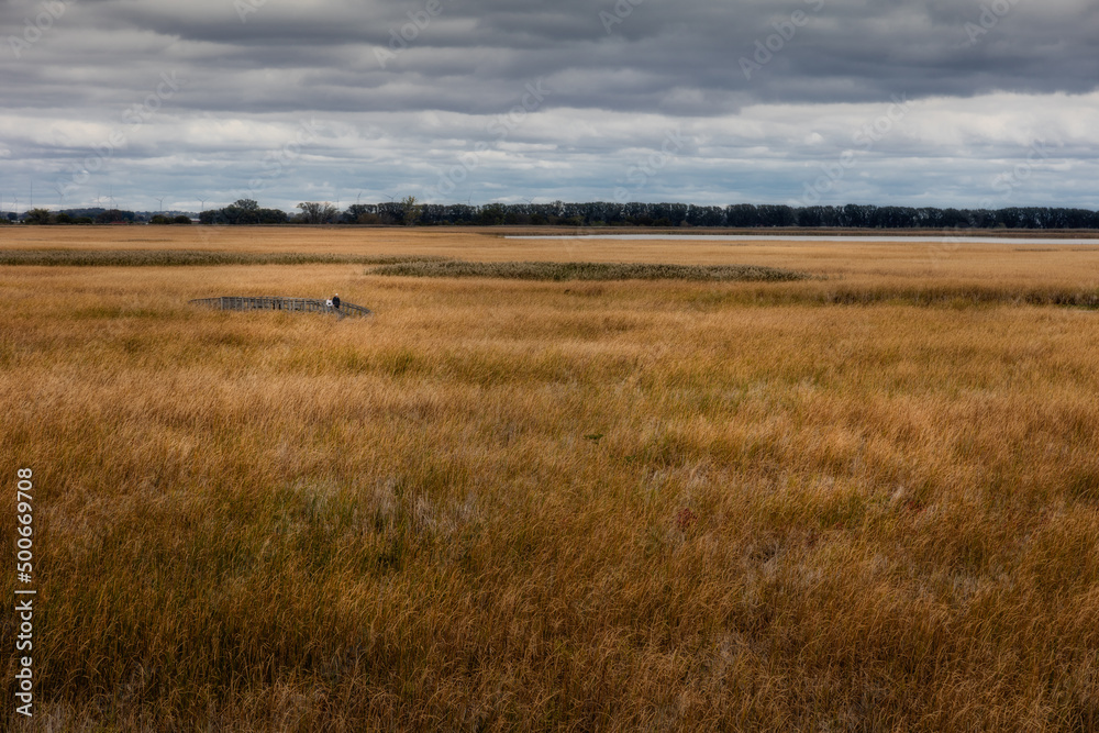 Beautiful view of of the marsh and boardwalk in Point Pelee Beautiful view of of the marsh and boardwalk in Point Pelee